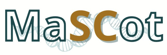 Materials science communication in informal learning environments